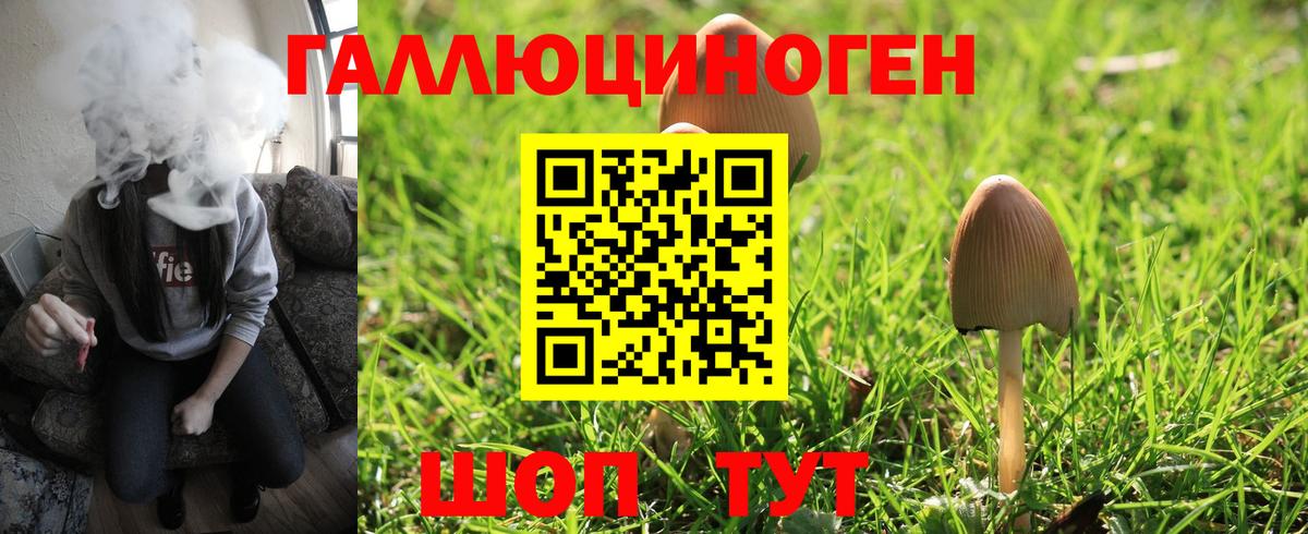 Псилоцибиновые грибы GOLDEN TEACHER  Вход с VPN  Галлюциногенные грибы мухоморы  купить закладку  Вятские Поляны 