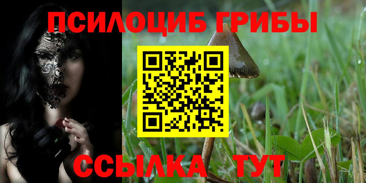 Псилоцибиновые грибы мухоморы Вятские Поляны